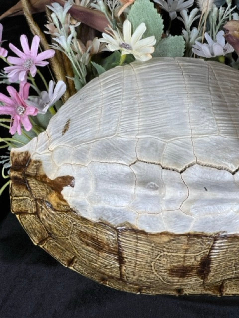 Turtle Shell Wall Planter